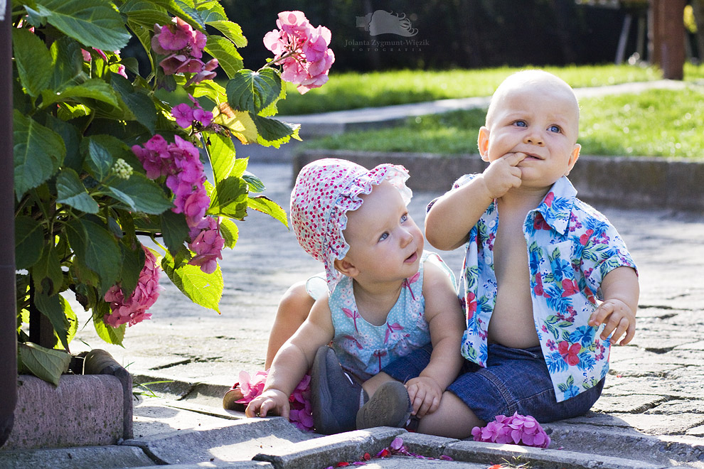 fotografia, zdjęcia - plener