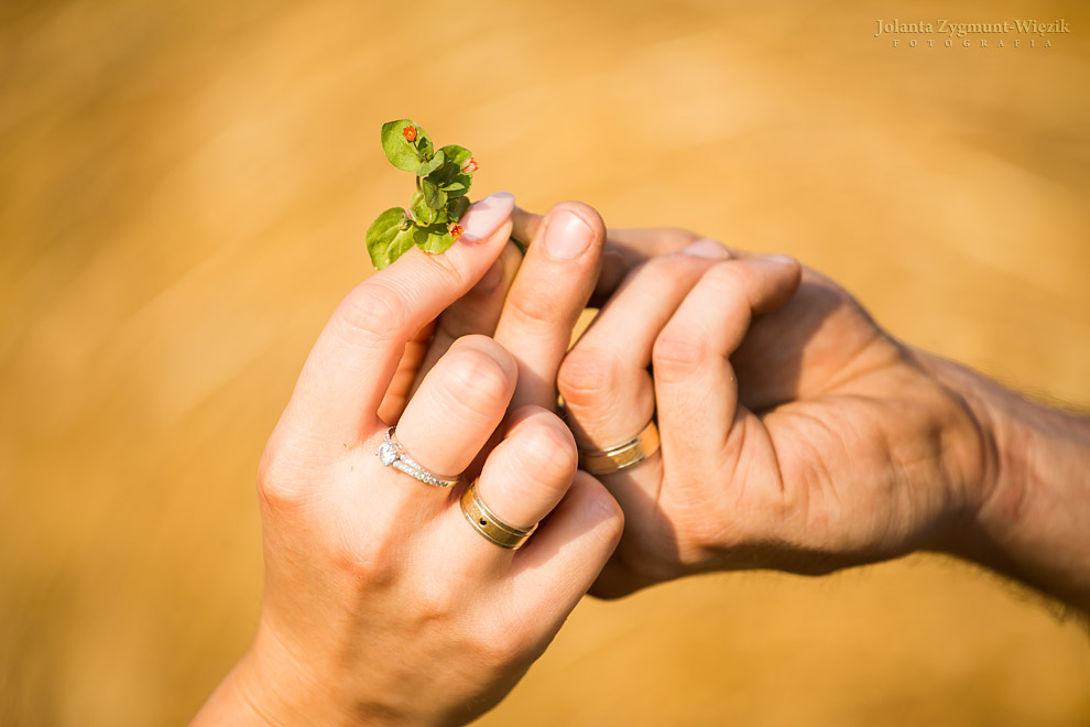 fotografia, zdjęcia - dla par