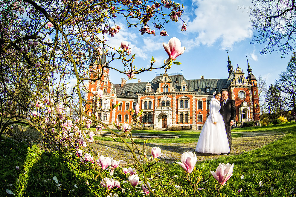 fotografia, zdjęcia - plener