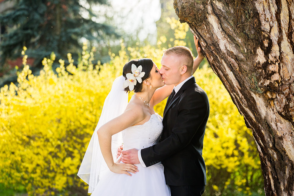 fotografia, zdjęcia - plener