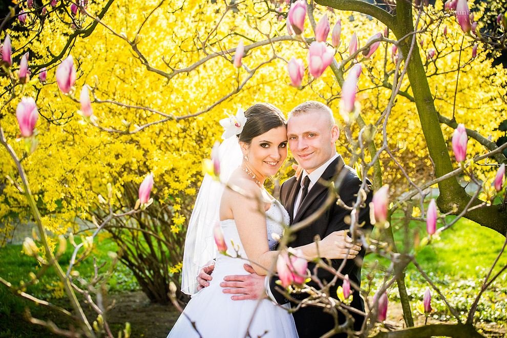 fotografia, zdjęcia - plener