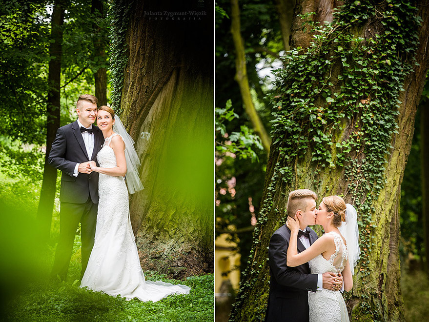 fotografia, zdjęcia - plener