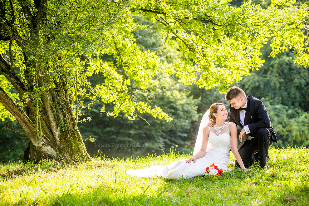 fotografia, zdjęcia - plener