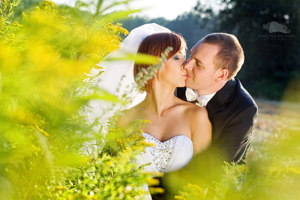 fotografia, zdjęcia - plener